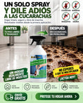 Bye Bye Bichos Insecticida Mágico 5X